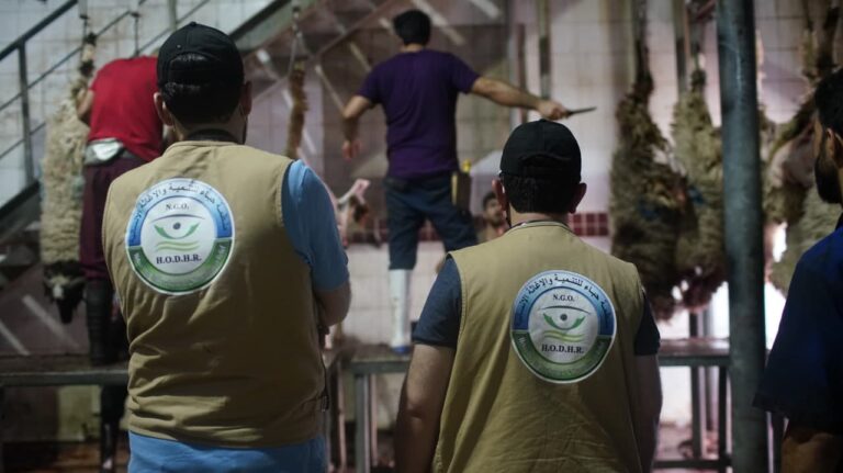 توزيع لحوم الأضاحي الوجبة الثانية في #مخيم#حسن شام